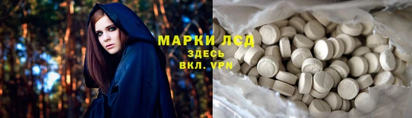 мяу мяу мука Абаза