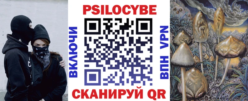 Псилоцибиновые грибы Psilocybe  Ярославль 
