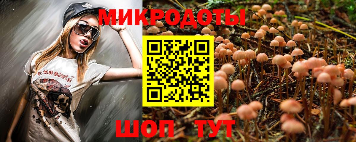 Галлюциногенные грибы GOLDEN TEACHER  Вход с VPN  Ярославль  Галлюциногенные грибы GOLDEN TEACHER 
