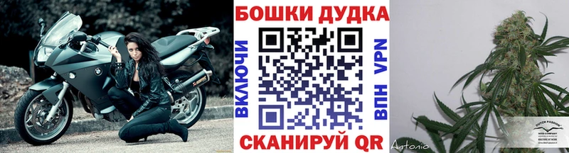 купить   Ярославль  Каннабис OG Kush 